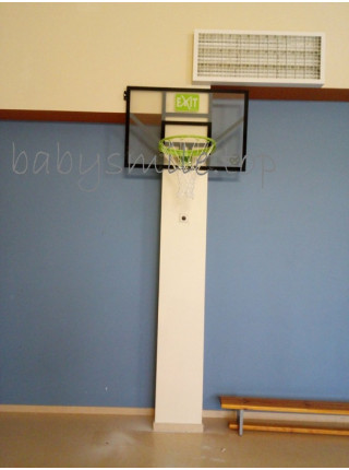 Баскетбольний щит Exit Galaxy + кільце з амортизацією