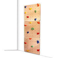 Дошка для скелелазіння