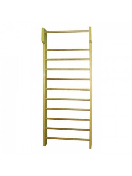 Шведська стінка для спортивного залу 280 см