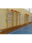 Шведська стінка для занять фізкультурою 300 см